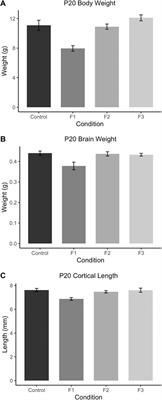 Transgenerational Effects of Prenatal Ethanol Exposure in Prepubescent Mice